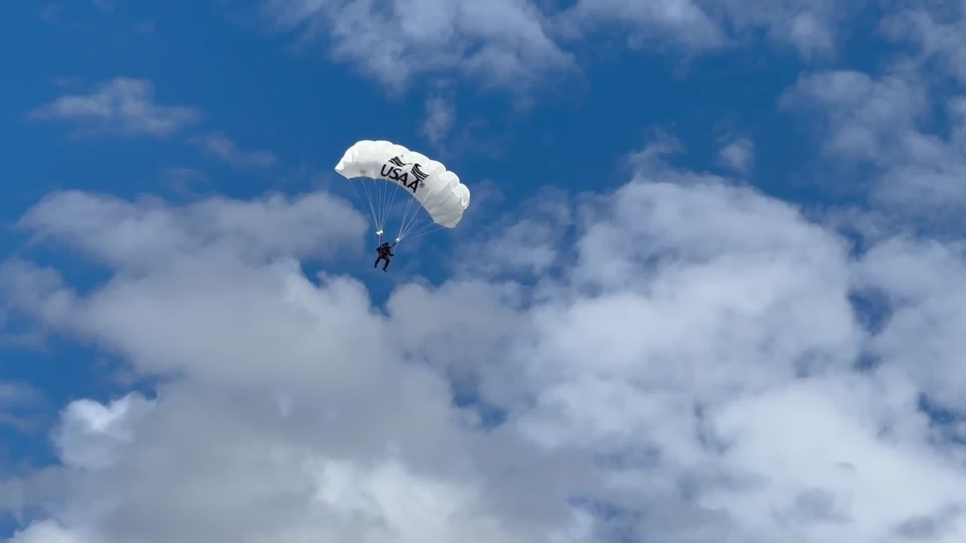 Skydivers descend on Bank of America Stadium prior to Sunday's game against Buffalo.